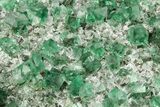 Fluorescent Green Fluorite Cluster - Diana Maria Mine, England #208863-4